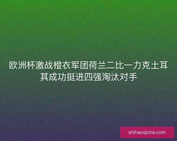 欧洲杯激战橙衣军团荷兰二比一力克土耳其成功挺进四强淘汰对手