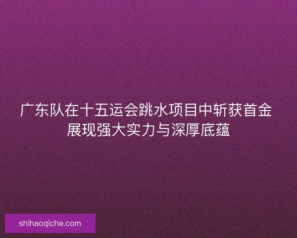 广东队在十五运会跳水项目中斩获首金 展现强大实力与深厚底蕴