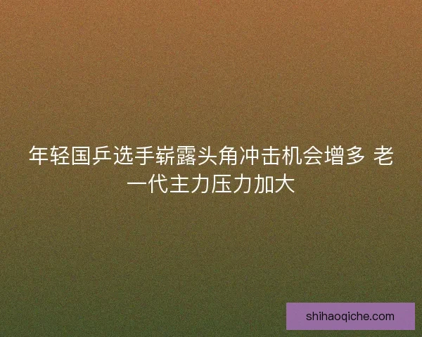 年轻国乒选手崭露头角冲击机会增多 老一代主力压力加大