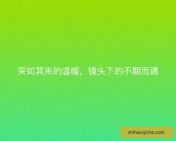 突如其来的温暖，镜头下的不期而遇