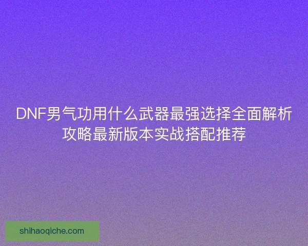 DNF男气功用什么武器最强选择全面解析攻略最新版本实战搭配推荐