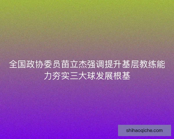 全国政协委员苗立杰强调提升基层教练能力夯实三大球发展根基 全国政协委员苗立杰强调提升基层教练能力夯实三大球发展根基